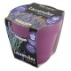 Health Collection (Bio Pots) - Lavender