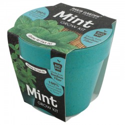 Health Collection (Bio Pots) - Mint