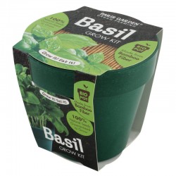 Health Collection (Bio Pots) - Basil