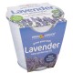 Garden Chef Collection (Zinc Round) - Lavender