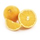 US Sunkist Navel Oranges - Rooster (4Pcs)