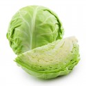 HK Organic Green Cabbage